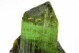 Gemmy, Green Elbaite Tourmaline Cluster - Cruzeiro Mine, Brazil #217574-3